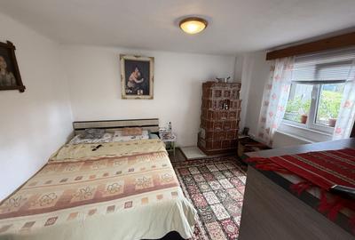 2 Case + teren 1390 mp langa parcul central Provita de Sus - 13