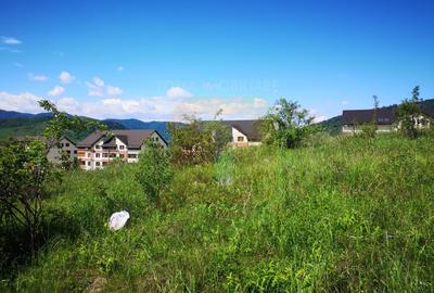 Oportunitate ! Teren intravilan 650 mp, Calea Romanului, Piatra Neamț - 13