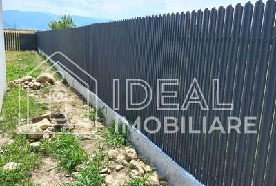 Casa Single cu 4 camere si 350 mp de curte, in Sura Mare - 11