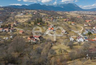 Teren cu priveliste panoramica in Sohodol – Bran - 12