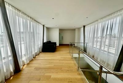 Vila moderna de vanzare 6 camere Iancu Nicolae - Mark Twain, Bucuresti 450 mp - 16