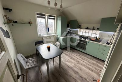 Apartament 2 camere în vila + curte privata - 7