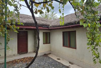 Exclusivitate-Vadu, zona centrala, casa 75mp, teren 1917 mp/31ml deschidere - 5