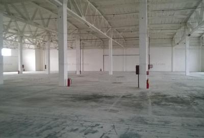 MILITARI - BDUL TIMISOARA-VALEA CASCADELOR - 3