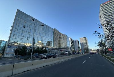 IPA, Calea Floreasca 169 - comision 0%, reprezentam proprietarul! - 6