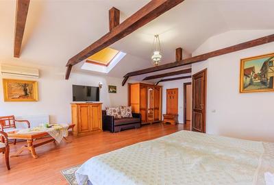 Hotel Bielmann,unicitate si profitabilitate optima in turism,Sanpetru, Brasov - 12