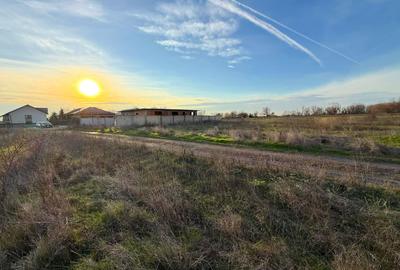 Teren Intravilan 468mp Lebedelor Com. Berceni | utilitati | #MG1E - 13