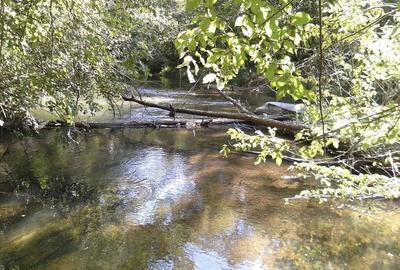 TEREN CU DESCHIDERE LA BALTA FACAU -GIURGIU ! - 1