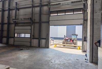 Hale industriale si birouri de inchiriat!! 575-3855 mp - 16