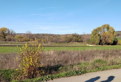 EXCLUSIVITATE -Teren Simnicul de Sus - 1000mp Intravilan - 1