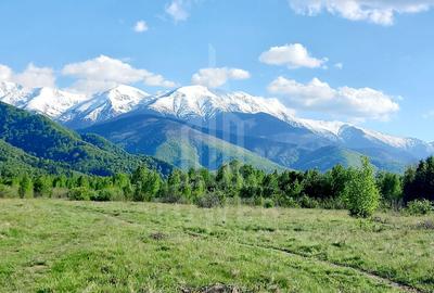 Teren de vânzare EXTRAVILAN | Porumbacu de Jos - 4