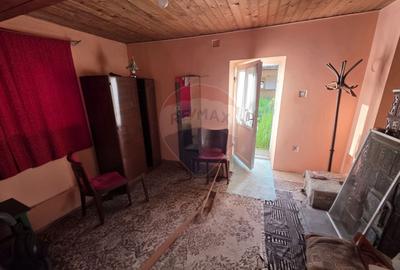 Gospodarie de vanzare in Giulvaz, judetul Timis - 21
