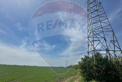Teren 138.104 mp Dragomiresti-Vale, Ilfov, langa A0 - 5