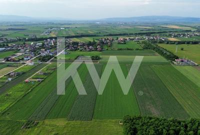 Teren intravilan 17.240 mp Stupini, str. Baciului-Luncii - 8