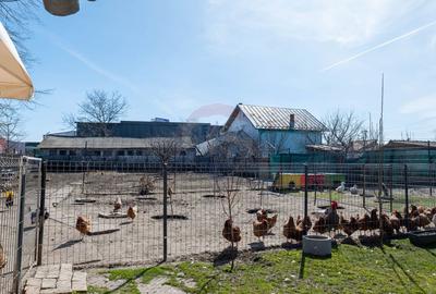 Afumati - vanzare casa si anexe cu teren intravilan, suprafata 700 mp - 28