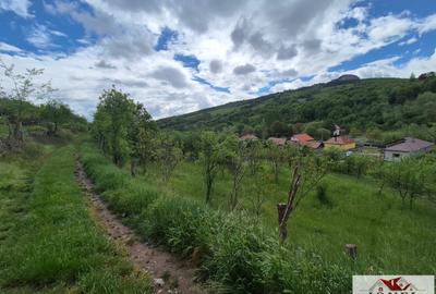Teren intravilan de vanzare in Metes - Ampoita - 2