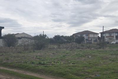 Oferte vanzari terenuri in Palazu Mare - 12