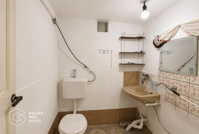 Casa cu teren de 420 mp, localitatea Paulis - 13