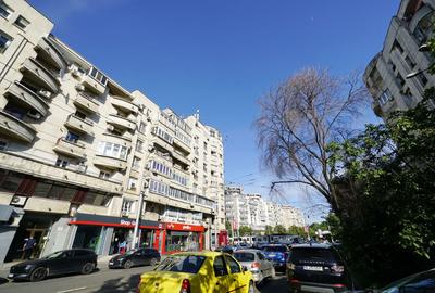 Spatiul comercial 100 mpu str.Sf Vineri colt cu B-dul Corneliu Coposu - 10