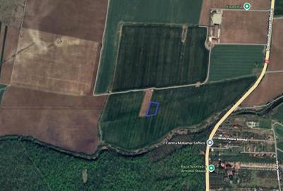 Teren Construcții intravilan de 3293 mp, în Snagov