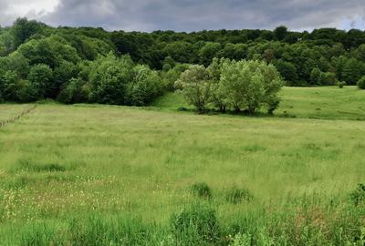 Teren la pădure, panoramic dealuri si păduri, curent si asfalt - 12