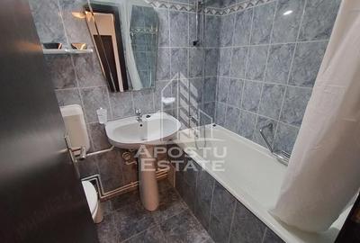 Apartament 2 camere de inchiriat ,Take Ionescu ,Timisoara - 8