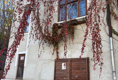 Spatiu pretabil pentru comert,magazin,cabinet,firma,parter de vila,ultracentral - 13