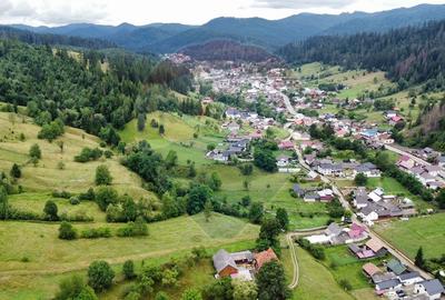 Teren 6,865mp Voroneț / Gura Humorului / Bucovina - 12