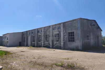 HALA + BIRORI//960 MP//ZONA BEREASCA - 1