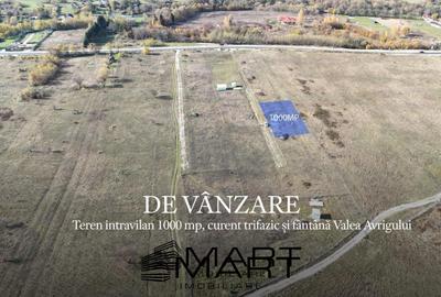 Teren 1000 mp, curent trifazic si fantana  Valea Avrigului - 1