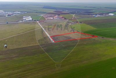 Teren intravilan 10.000 mp în Zona Industrială Sud Arad - 9