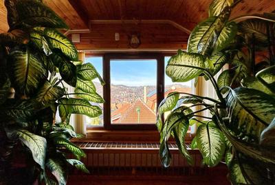 Casă individuală cu 6 camere în Centrul Istoric