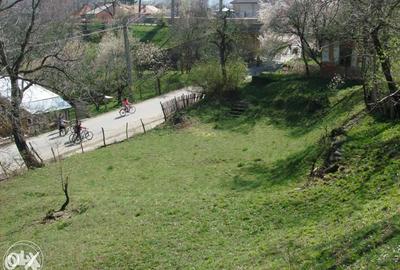 Vand Teren Intravilan Maneciu-Ungureni, Jud. Prahova - 5