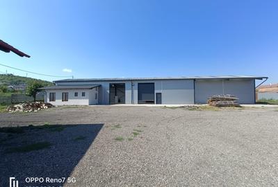 Spațiu industrial, de 200.00 mp, în Reghin