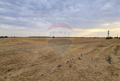 Teren intravilan Buftea, soseaua Tamasi - 4