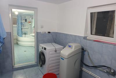 Casa cu 1ha teren la Baisa - 9