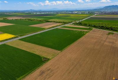 Oportunitate investitie! Teren 47.577 mp, Codlea .-. Ghimbav, pozitie excelenta - 7