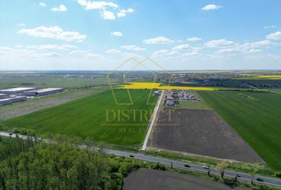 COM 0% Parcela cu deschidere la DN69, hale, servicii | Sanandrei - 2
