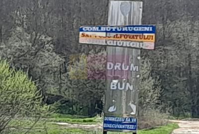 DE VANZARE TEREN 3400 MP IN SAT PODU ILFOVAT / COM BUTURUGENI (GR) - 13