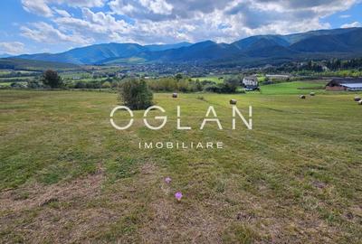 Teren Tocile (parcelabil) 3500 mp - 10