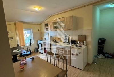 Apartament cu 1 camera de inchiriat, zona Dambovita, Timisoara - 3