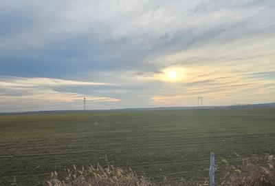 Comision 0% | Teren  30 hectare | Bucuresti -> A1 -> km 34 | Front stradal 580 m - 4