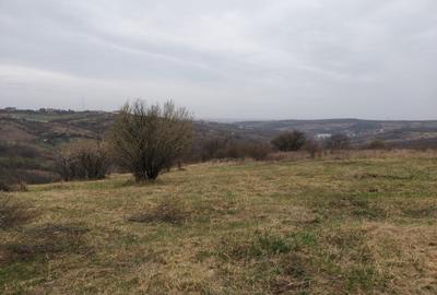 Teren in Oradea-zona Dealuri (din Gh.Doja) - 4