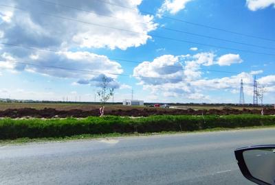 SE VINDE TEREN 5000 MP INTRAVILAN, MIXT CU DESCHIDERE LA DJ101 DE 42m - 1