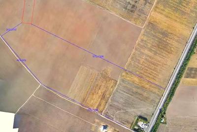 Teren Construcții intravilan de 14700 mp, în Adunații-Copăceni