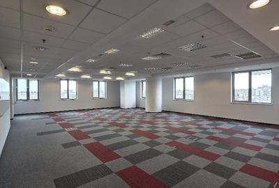 Bucharest Business Center, Victoriei, 396 - 4200 mp  0% comision! - 16