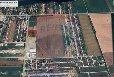 Teren 5.000mp Balotesti cu autorizatie hala - 5
