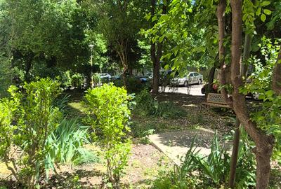 3 Camere, Decomandate, Tomis Nord Brotacei - 21
