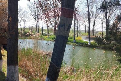 Popasul Tamboiesti - 20