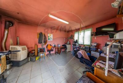 Spațiu industrial cu potential de vanzare in Paulis,Arad - 10